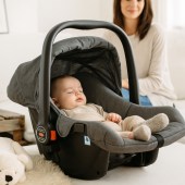 bebeshko-koshche-za-kola-zizito-regina (2)